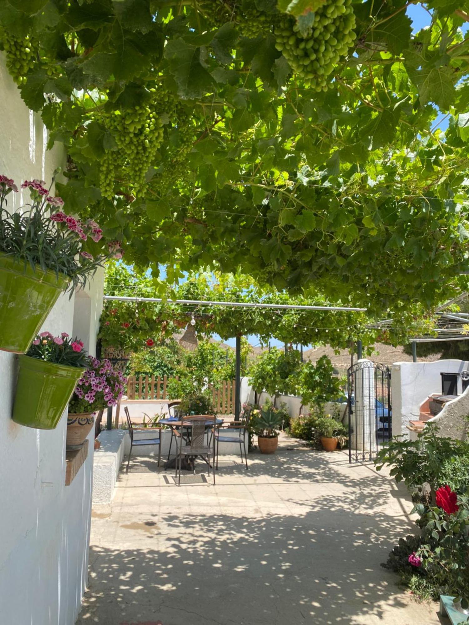 El Majuelo 2 Villa Níjar Buitenkant foto